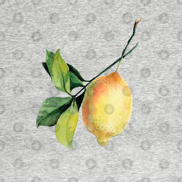 Branch of lemons with leaves by Olga Berlet